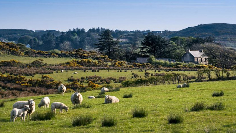 Zugfahrt durch Irland